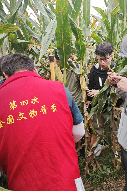 普查隊員正在使用探鏟進行探測。中國文物報供圖